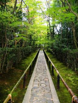 entrance-walkway-koto-in-zen-temple-kyoto-small.jpg